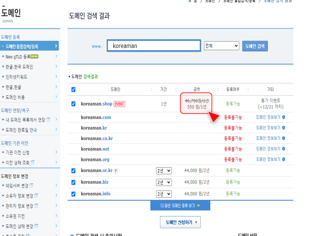 도메인 조회한 결과 화면