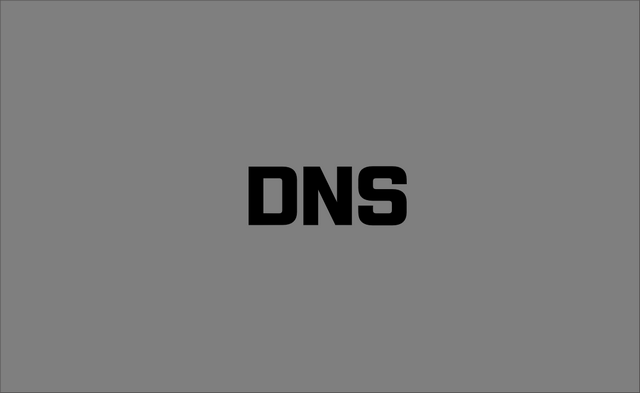 DNS 타이핑