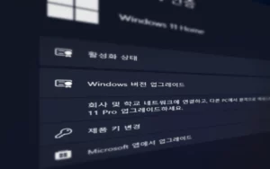 Windows 버전 업그레이드 메뉴