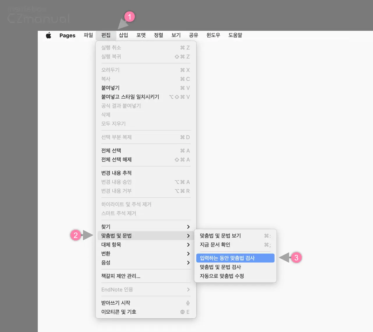 앱_편집_메뉴_맞춤법_및_문법_옵션_변경