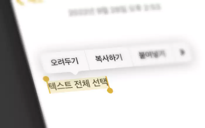 iPhone 텍스트 선택 상태
