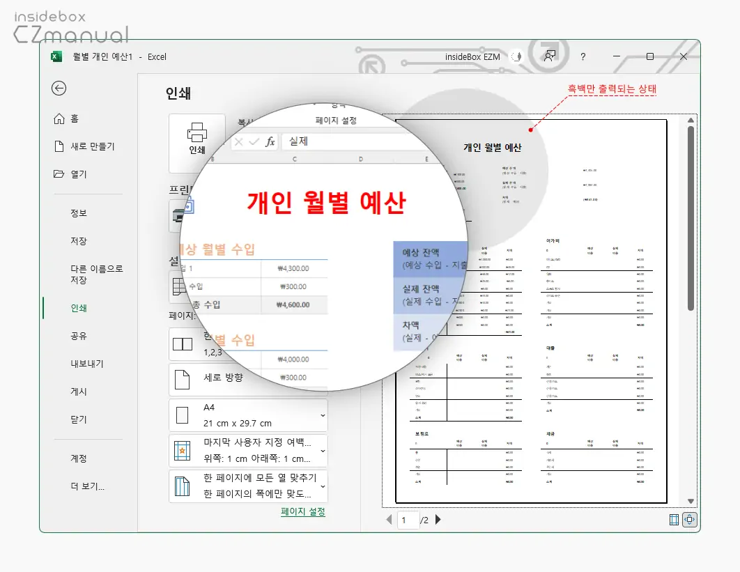 인쇄_미리보기에서_흑백만_출력되는_상태