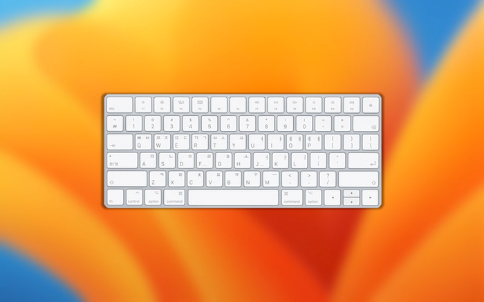 맥북 원화키 백틱 백쿼트 적용 변경하는 방법