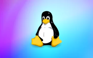 리눅스 ls 명령으로 파일 디렉토리 정보 확인하기