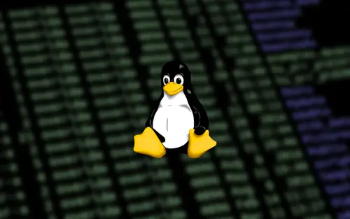 Linux-서버-접속하는-방법-웹-애플리케이션-파일-관리하기