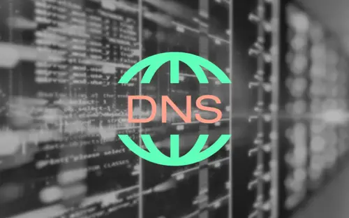DNS-서버
